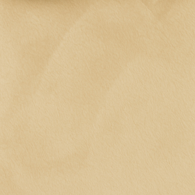 VELBOA  -  CREME - MT